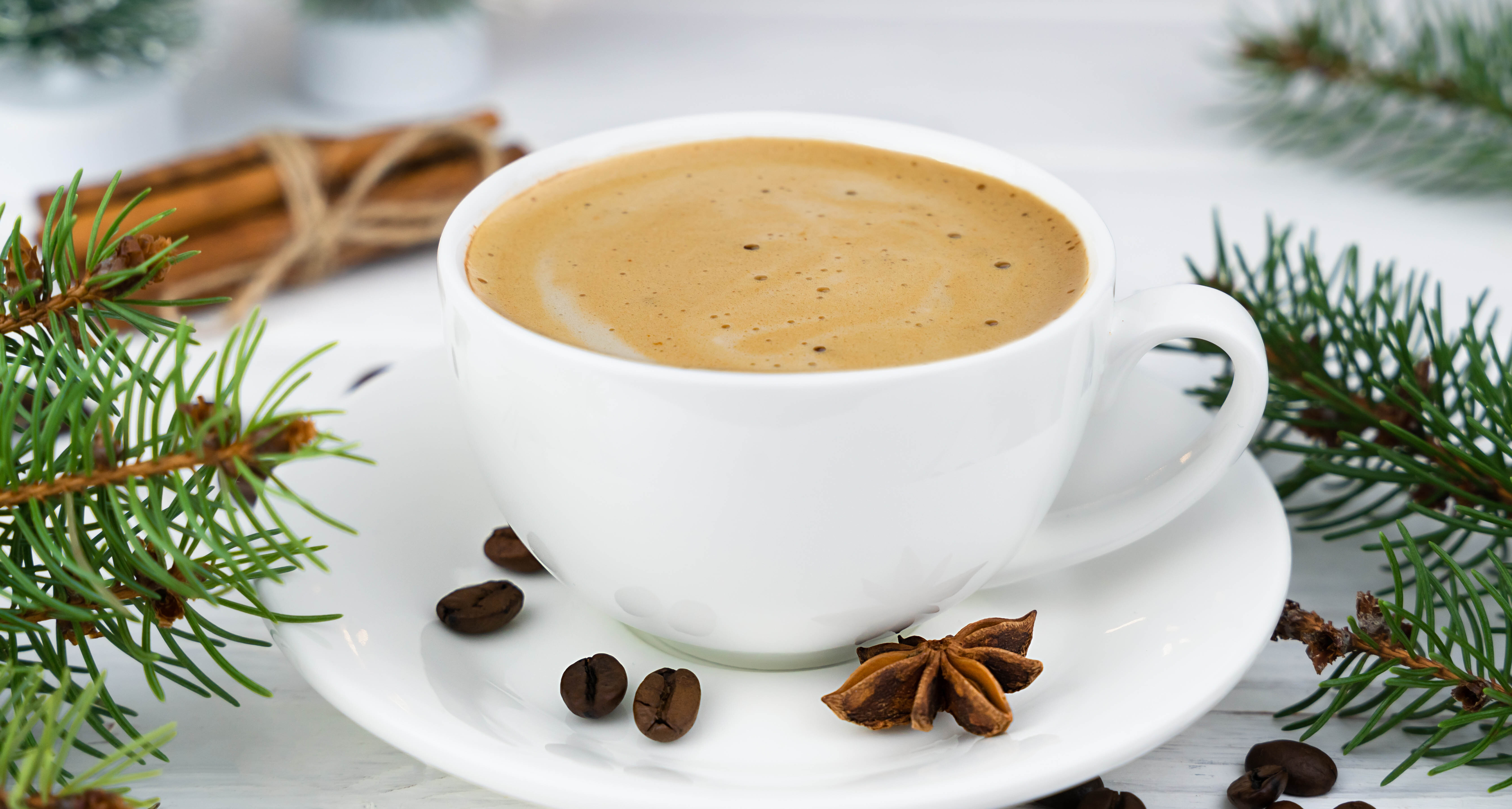 Cup of cappuccino for the holidays